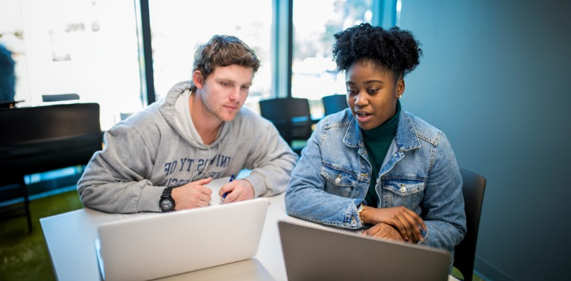 two students studying on laptops